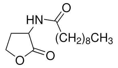 图片 N-癸酰- DL -高丝氨酸内酯，N-Decanoyl-DL-homoserine lactone；≥97.0% (HPLC)